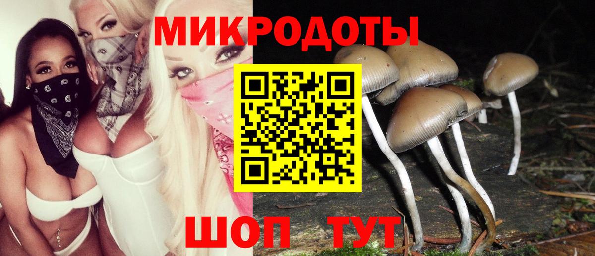 Галлюциногенные грибы Cubensis Калининград